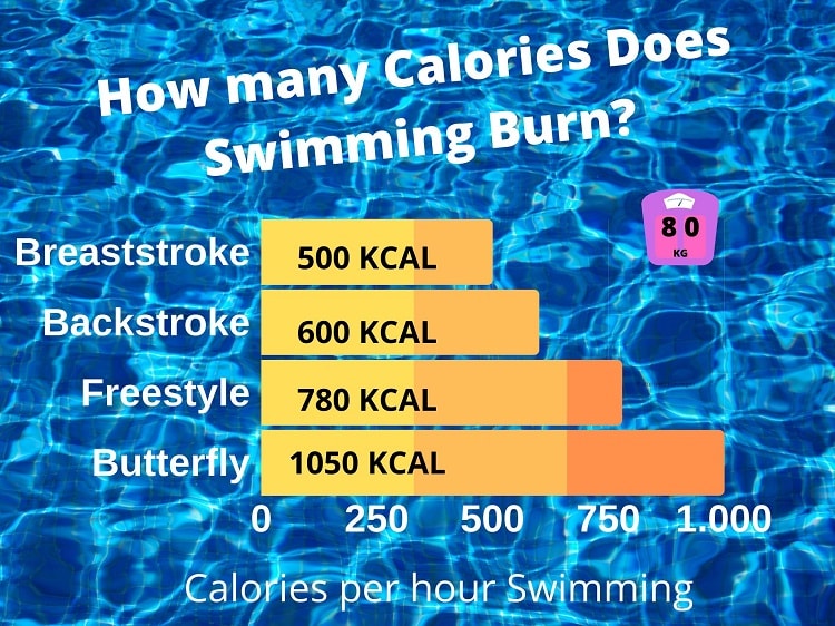 How Many Calories Does Swimming Burn?