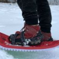 Snow shoeing