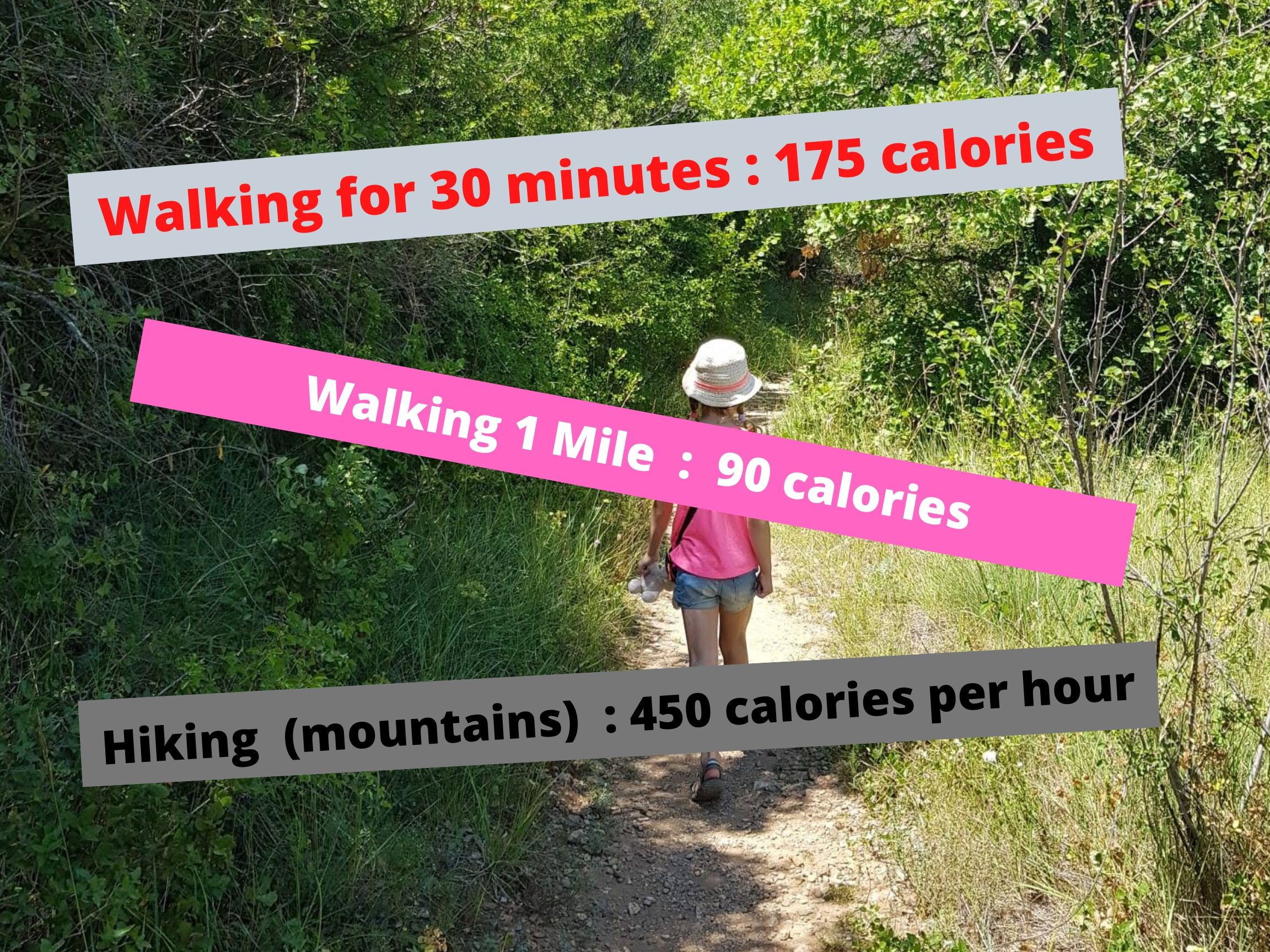 walking 3 hours a day calories